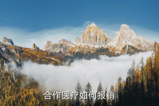 合作醫(yī)療報(bào)銷，合作醫(yī)療怎么報(bào)銷