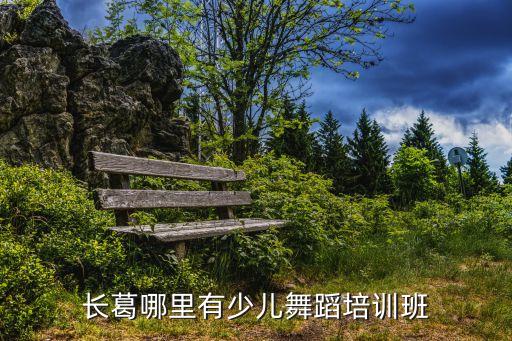 長葛哪里有少兒舞蹈培訓(xùn)班