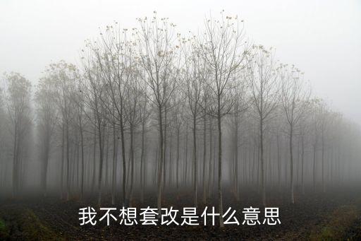 我不想套改是什么意思