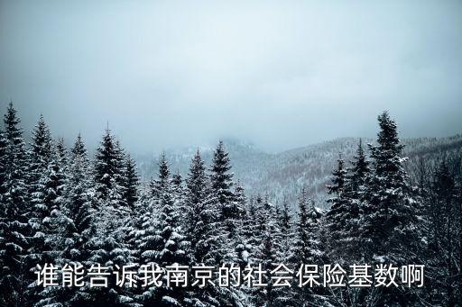 誰(shuí)能告訴我南京的社會(huì)保險(xiǎn)基數(shù)啊