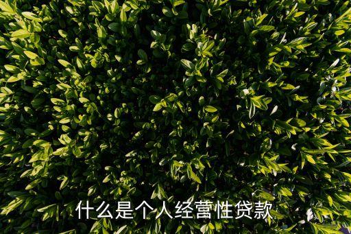 什么是個(gè)人經(jīng)營(yíng)性貸款