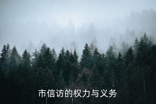 信訪權(quán)，市信訪的權(quán)力與義務(wù)