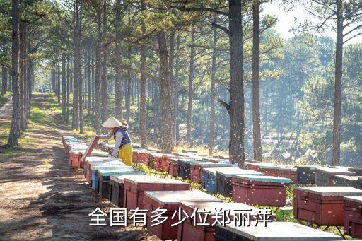 全國有多少位鄭麗萍