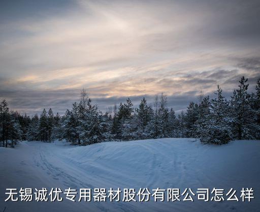 無錫誠優(yōu)專用器材股份有限公司怎么樣