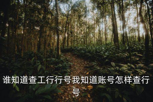 誰(shuí)知道查工行行號(hào)我知道賬號(hào)怎樣查行號(hào)
