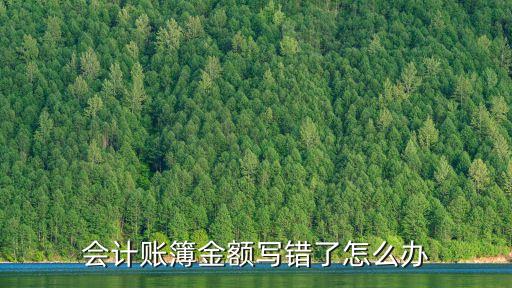 會(huì)計(jì)賬簿金額寫錯(cuò)了怎么辦
