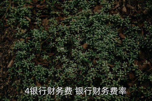 4銀行財(cái)務(wù)費(fèi) 銀行財(cái)務(wù)費(fèi)率