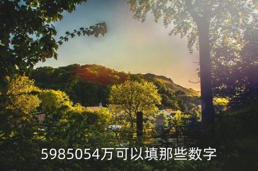 5985054萬可以填那些數(shù)字