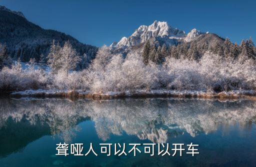 聾啞人能開車嗎，聾啞人可不可以駕駛車輛