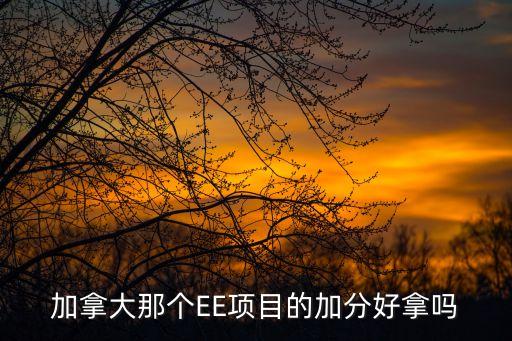 加拿大那個EE項目的加分好拿嗎