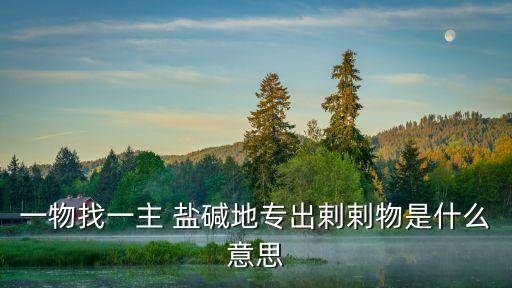 一物找一主 鹽堿地專出剌剌物是什么意思