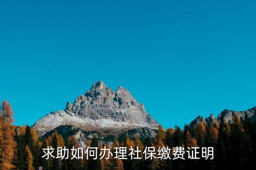求助如何辦理社保繳費證明