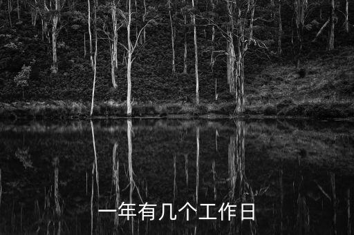 一年有幾個工作日
