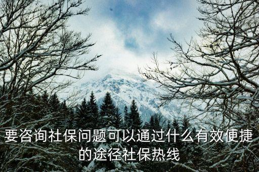 要咨詢社保問題可以通過什么有效便捷的途徑社保熱線