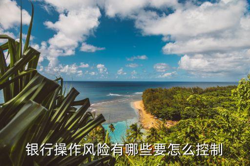 操作風(fēng)險，商業(yè)銀行經(jīng)營管理中關(guān)于操作風(fēng)險的具體定義是什么