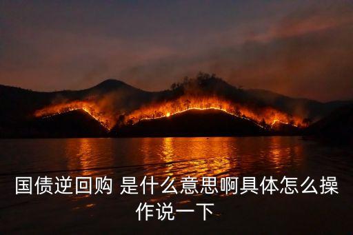 國(guó)債逆回購(gòu) 是什么意思啊具體怎么操作說一下