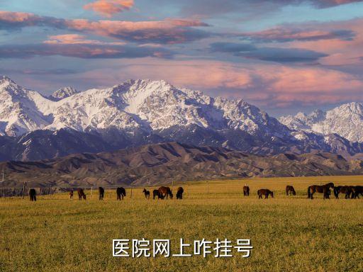 醫(yī)院網(wǎng)上咋掛號(hào)