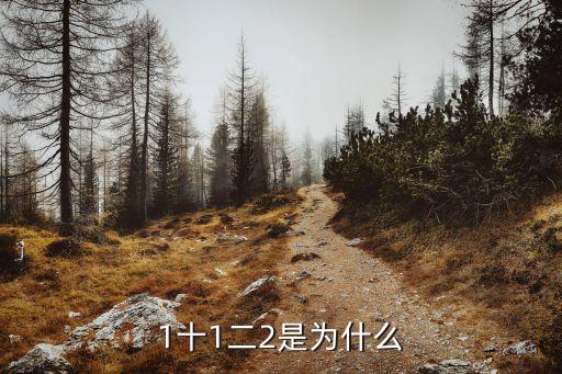 1十1二2是為什么