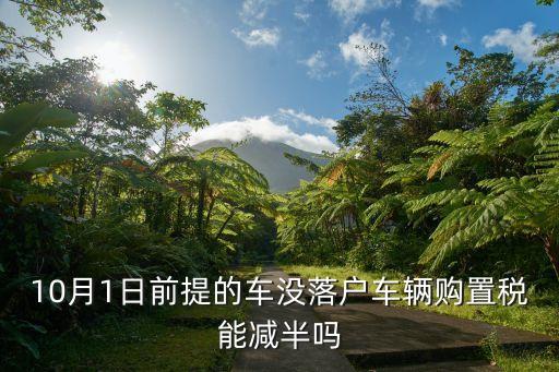 車輛購置稅減半，購16以下轎車購置稅有減半政策嗎