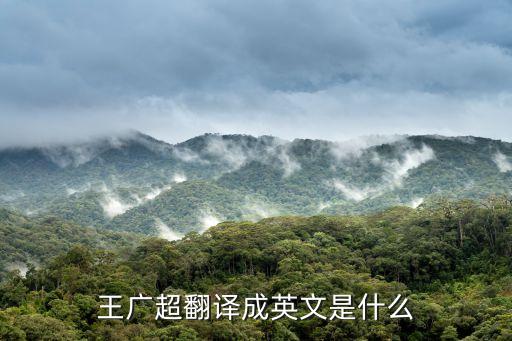 王廣超，為什么我那么愛它可它還要走啊