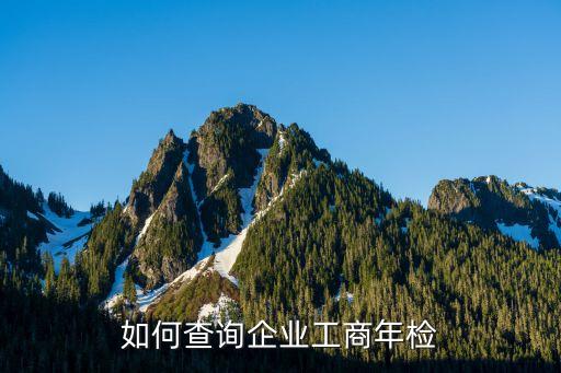 如何查詢企業(yè)工商年檢