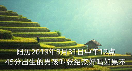 陽歷2019年8月31日中午12點45分出生的男孩叫張紹杰好嗎如果不