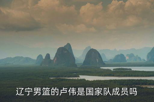 盧偉，遼寧男籃的盧偉是國家隊成員嗎