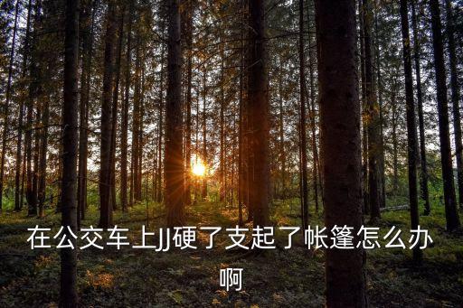 在公交車上JJ硬了支起了帳篷怎么辦啊