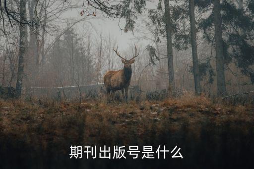 期刊出版號是什么