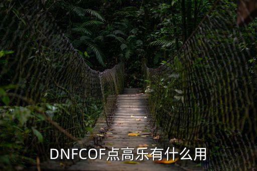 DNFCOF點(diǎn)高樂有什么用