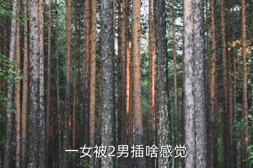 被兩個(gè)男人操，一女被2男插啥感覺
