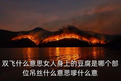 雙飛什么意思女人身上的豆腐是哪個(gè)部位吊絲什么意思嗲什么意