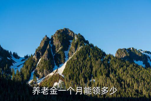 養(yǎng)老金一個月領(lǐng)多少錢，辦理養(yǎng)老保險后每月能拿多少錢