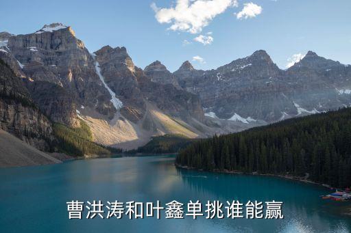 曹洪濤和葉鑫單挑誰能贏