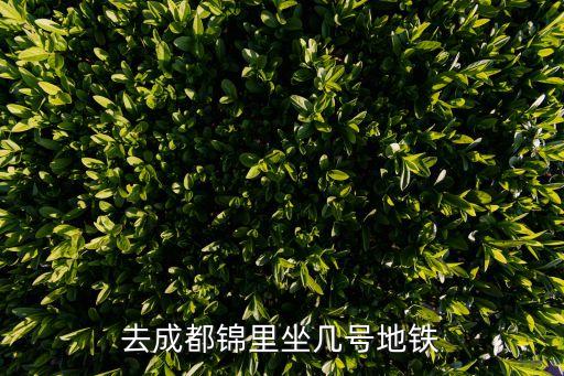 去成都錦里坐幾號(hào)地鐵