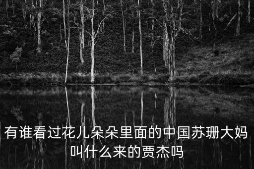 賈杰，大家都知道蘇珊大媽中國(guó)版公認(rèn)的蘇珊大媽是誰呀賈杰挺出名的
