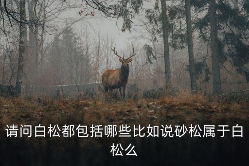 請問白松都包括哪些比如說砂松屬于白松么