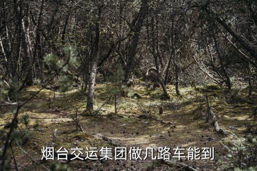 煙臺(tái)交運(yùn)，煙臺(tái)交運(yùn)怎么樣交三險(xiǎn)還是五險(xiǎn)