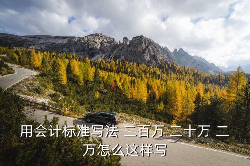 20萬(wàn)大寫(xiě)怎么寫(xiě)，20萬(wàn)美元中文大寫(xiě)怎么寫(xiě)
