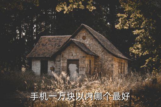 手機(jī)一萬塊以內(nèi)哪個(gè)最好