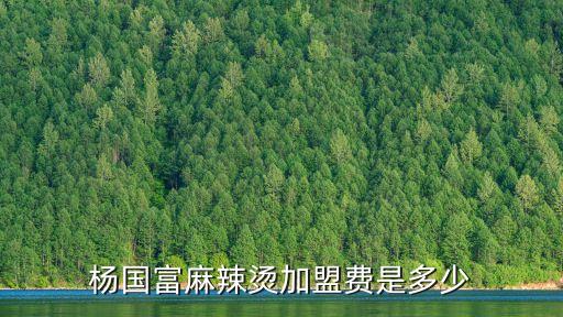 楊國富，楊國富是誰