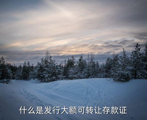 大額存單轉(zhuǎn)讓，我國銀行大額可轉(zhuǎn)讓存單的最低額度是多少
