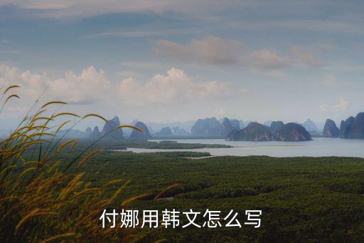 付娜用韓文怎么寫