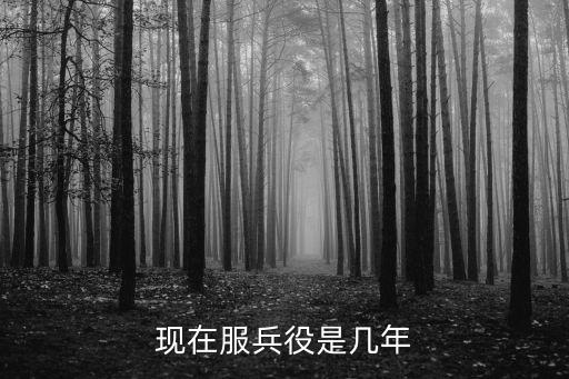 當(dāng)兵是幾年，現(xiàn)在當(dāng)兵是幾年制