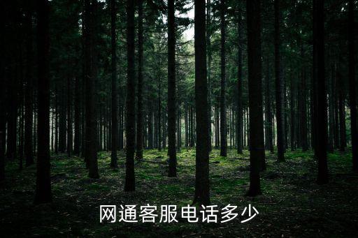 網(wǎng)通客服電話多少
