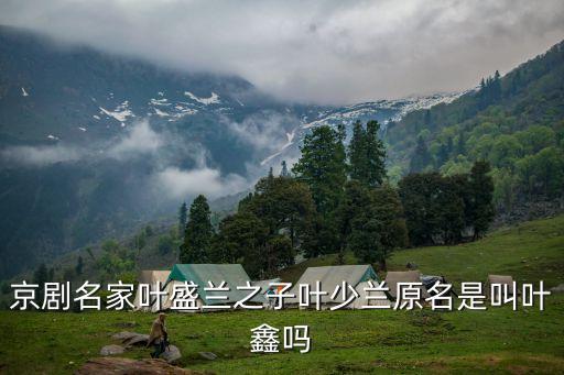 京劇名家葉盛蘭之子葉少蘭原名是叫葉鑫嗎