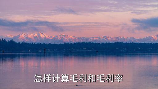 毛利潤計算公式，怎樣計算毛利和毛利率