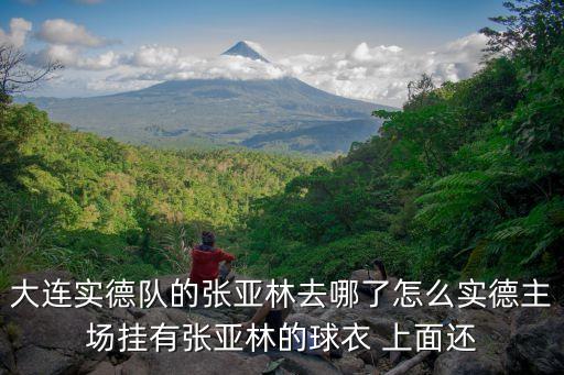 大連實(shí)德隊(duì)的張亞林去哪了怎么實(shí)德主場掛有張亞林的球衣 上面還
