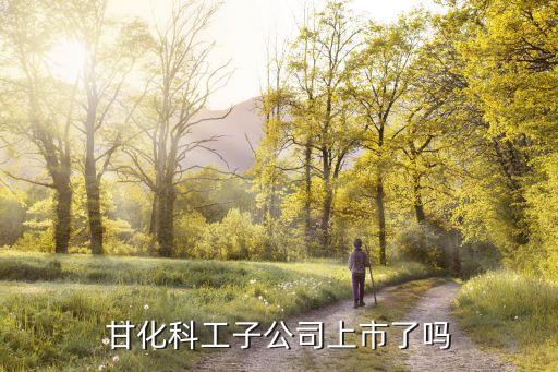 甘化科工子公司上市了嗎