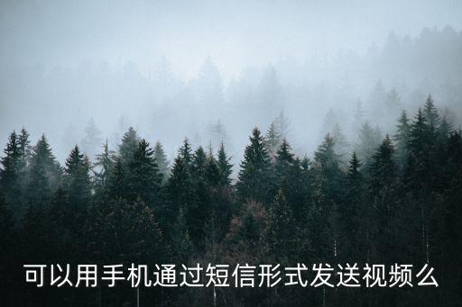短信能發(fā)視頻嗎，手機短信可以發(fā)不文明視頻嗎